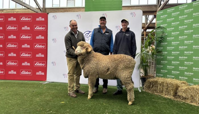 544776119_1084946363795279_3855586924756137688_n 544776119_1084946363795279_3855586924756137688_n