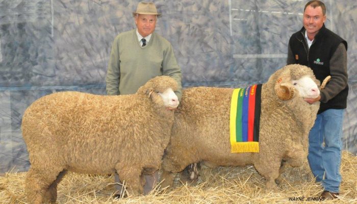 National Champion Pairs Bendigo 2015 National Champion Pairs Bendigo 2015