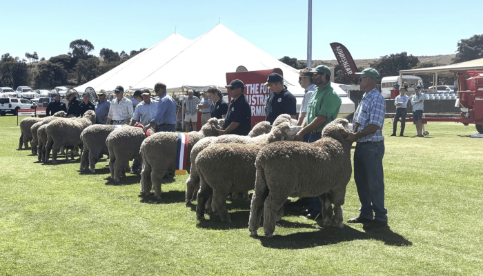 Screenshot 2025-08-07 at 5.11.28 pm Merino Expo Burra